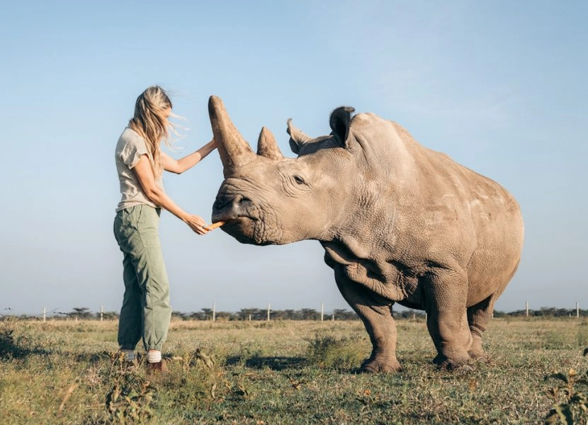 ol-pejeta-day-trip-3