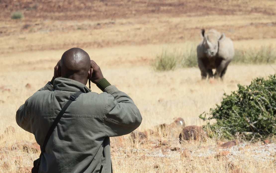 Rhino Tracking