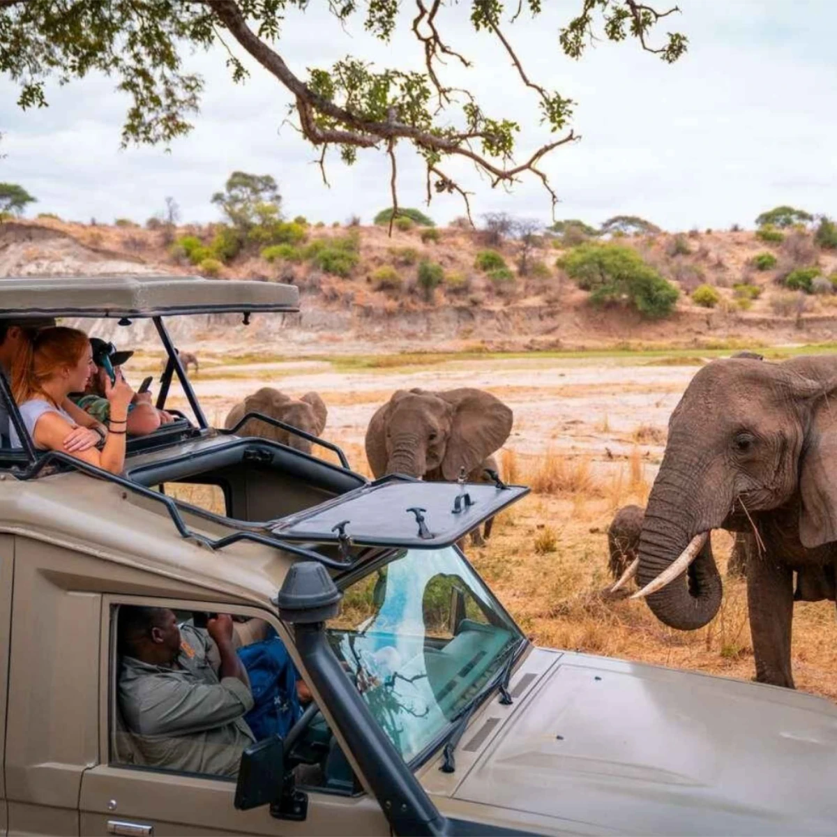Tsavo East National Park