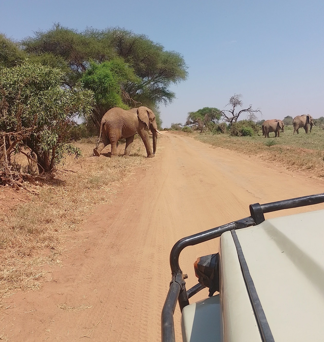 Tsavo East National Park